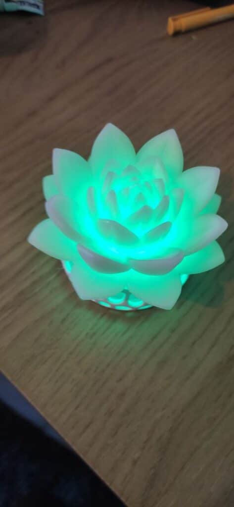 Fleur luminescente